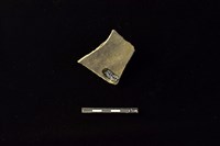 陶片藏品圖，第2張